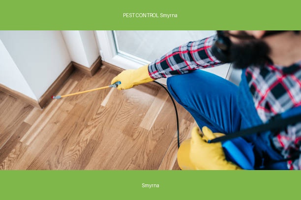 PEST CONTROL Smyrna